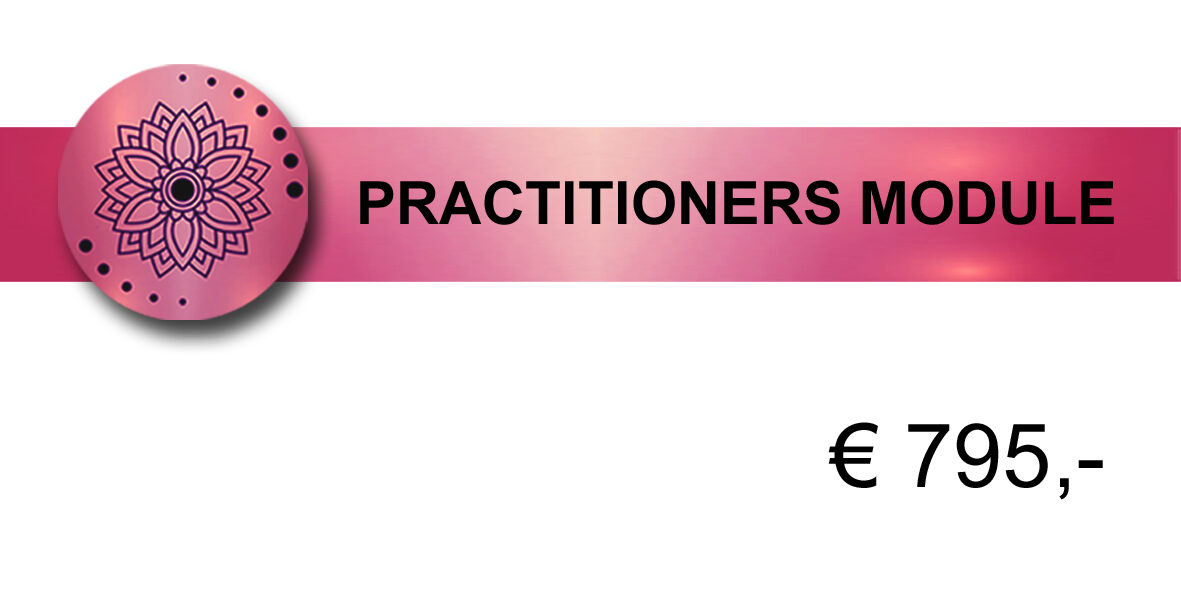 S.C.M.H.® Practitioners module