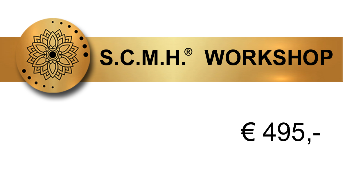 S.C.M.H.® Workshop